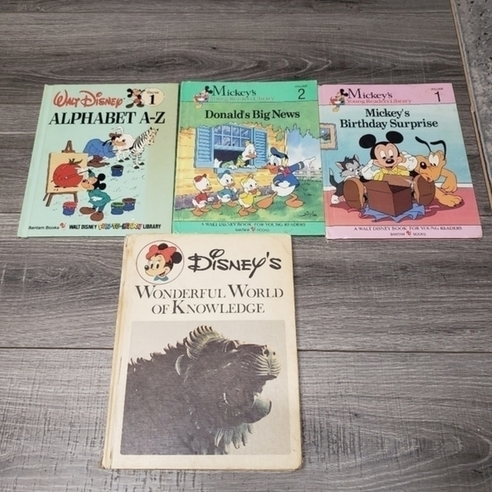 WALT disney book bundle